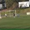 Cile, cane entra in campo e sventa il gol. Protesta del portiere: ''Non è merito suo''