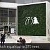 Come 275 alberi: il muro ''green'' che protegge dallo smog